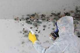 Asbestos and Lead Testing During Mold Inspection in Jackson, WI